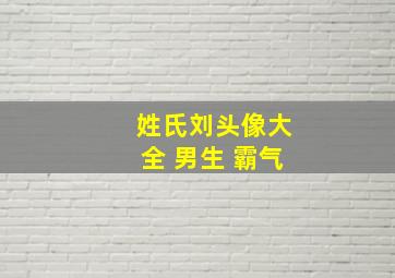 姓氏刘头像大全 男生 霸气